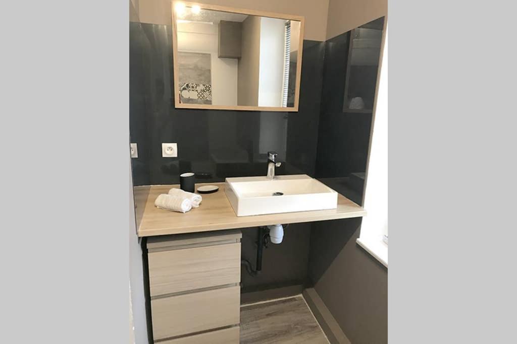 Annonay Centre, Grand Appartement Cosy, 3 Chambres מראה חיצוני תמונה