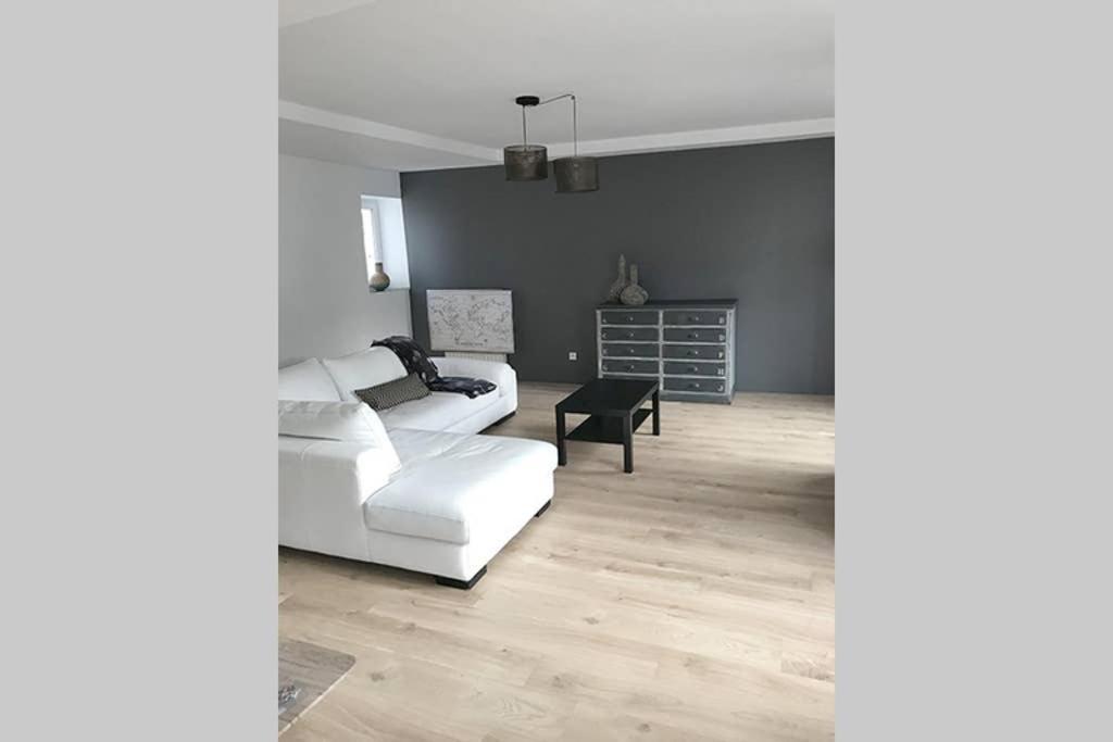 Annonay Centre, Grand Appartement Cosy, 3 Chambres מראה חיצוני תמונה